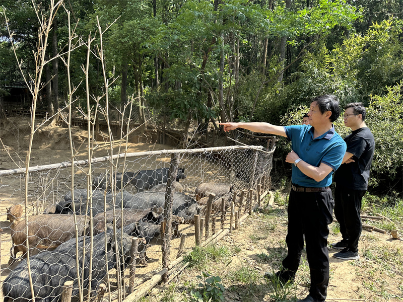 “追尋紅色足跡，擁抱生態(tài)夏意”-夏日團建活動9