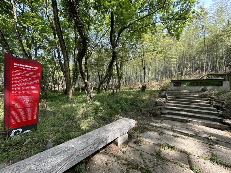 “追尋紅色足跡，擁抱生態(tài)夏意”-夏日團建活動2